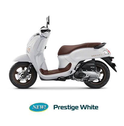 HONDA Scoopy 