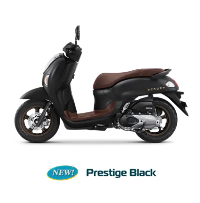 HONDA Scoopy 
